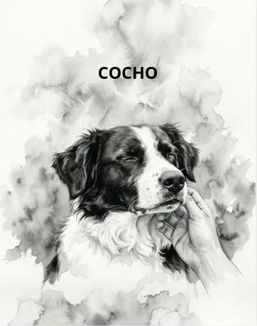 Retrato de mascota en estilo carboncillo